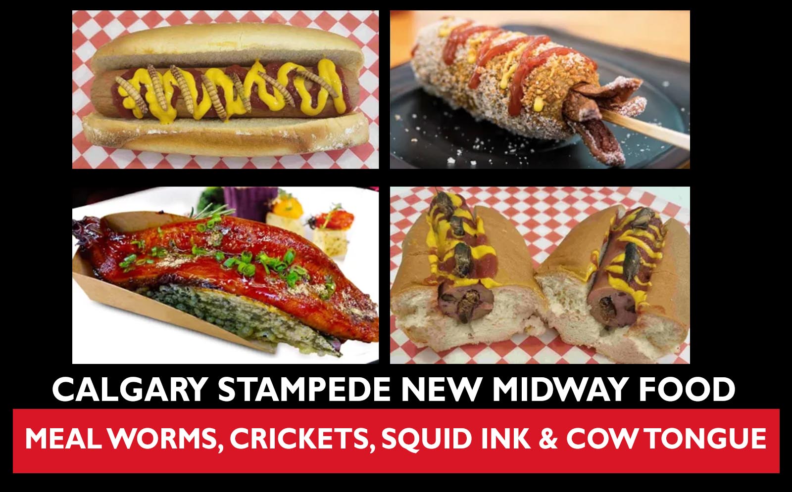 Calgary Stampede 2022 new midway food squid ink, cow tongue, meal worms